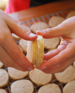 Lemon Creme Sandwich Cookies