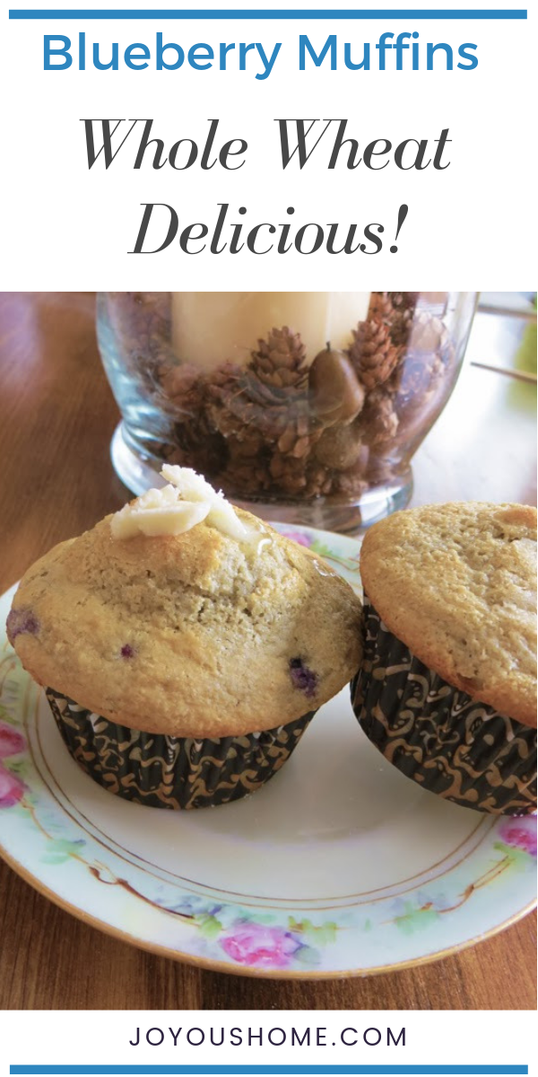 Whole Wheat Blueberry Muffins - Joyous Home