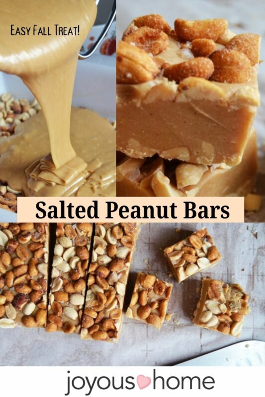 Easy Salted Peanut Bars as a fall Treat