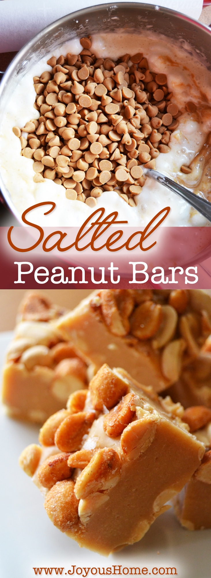Salted Peanut Bars, the BEST sweet and salty fall candy! Fudgy bars with two layers of peanuts and topped with flaked sea salt. Yummy!