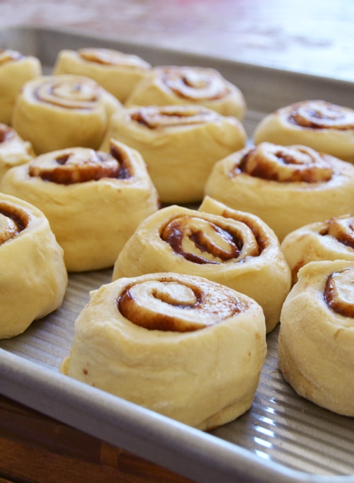 cinnamon rolls