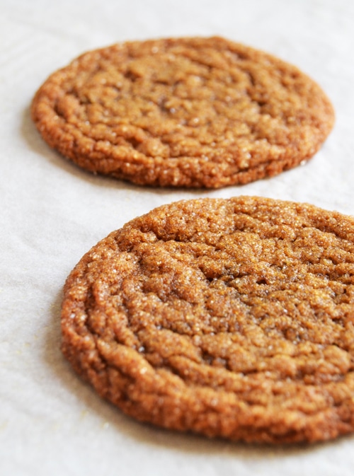 soft ginger molasses cookies