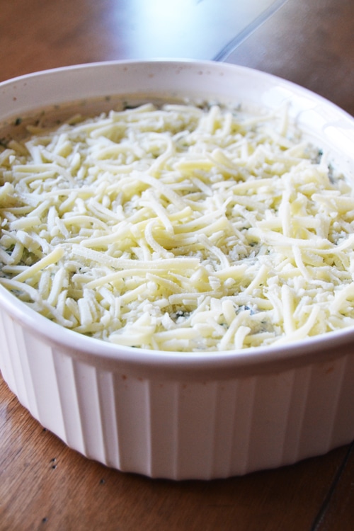 hot spinach dip