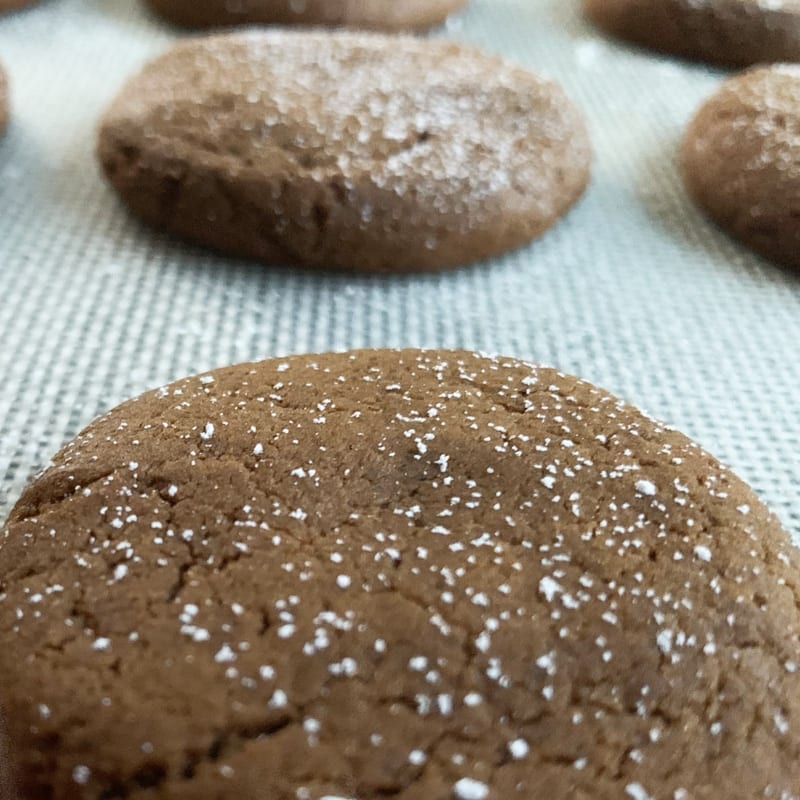 Old Virginia Gingerbread Cookie Recipe