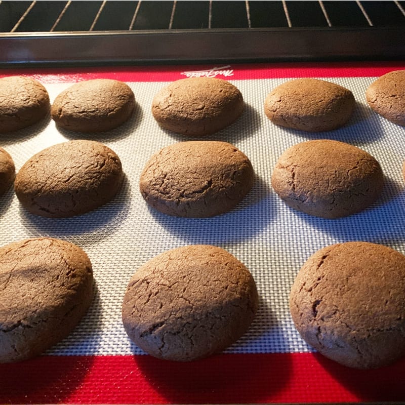 Old Virginia Gingerbread Cookie Recipe