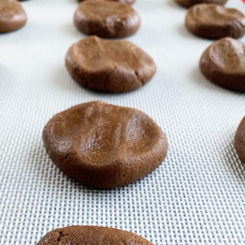 Old Virginia Gingerbread Cookie Recipe