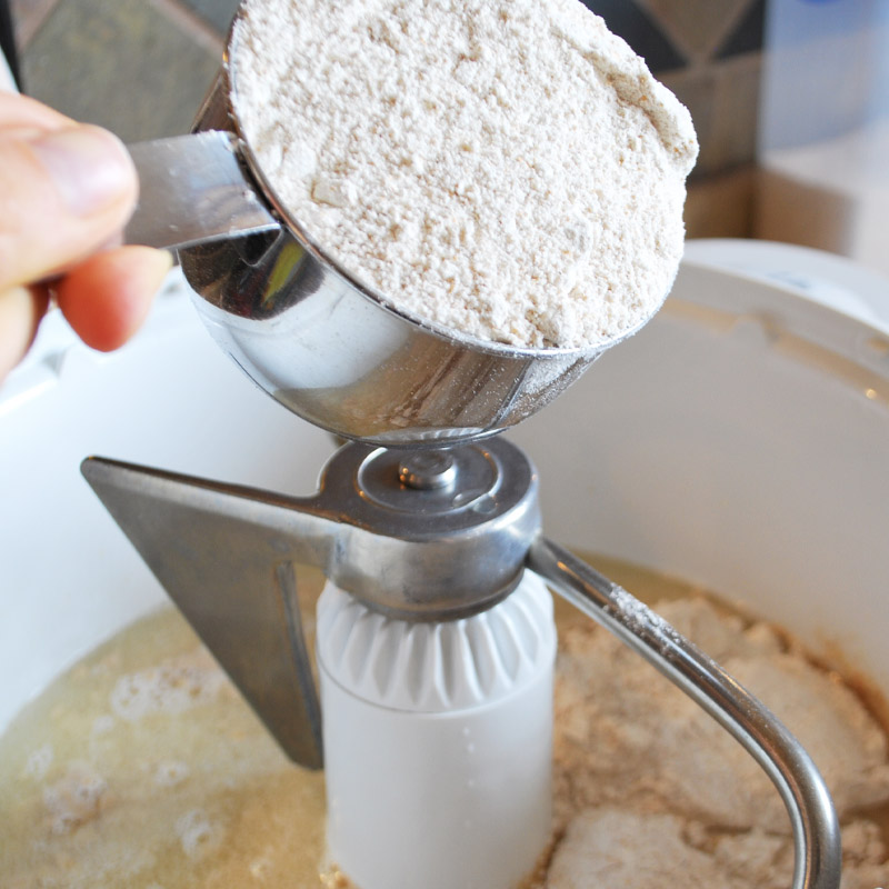 Add 5 cups of whole wheat flour to your dough mix, this starts the sponge. 