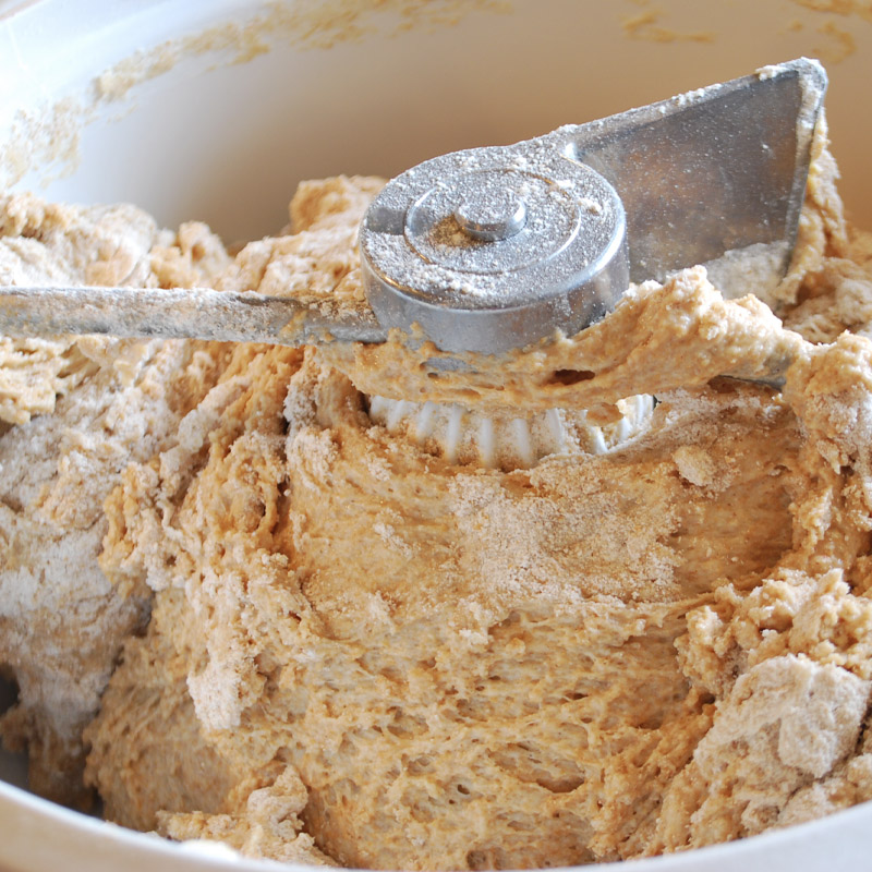 Honey Wheat Bread with Wheat Germ : Ugly Duckling Bakery