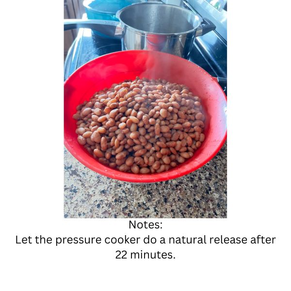 Pressure Cooked Pinto Beans
