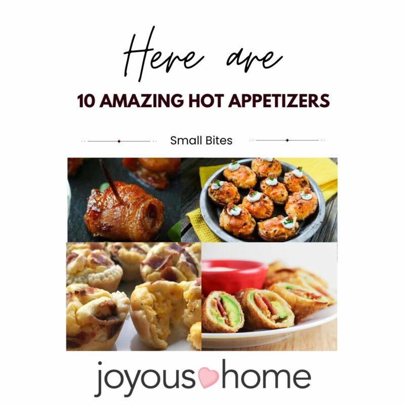 10 Hot Appetizers for your next party