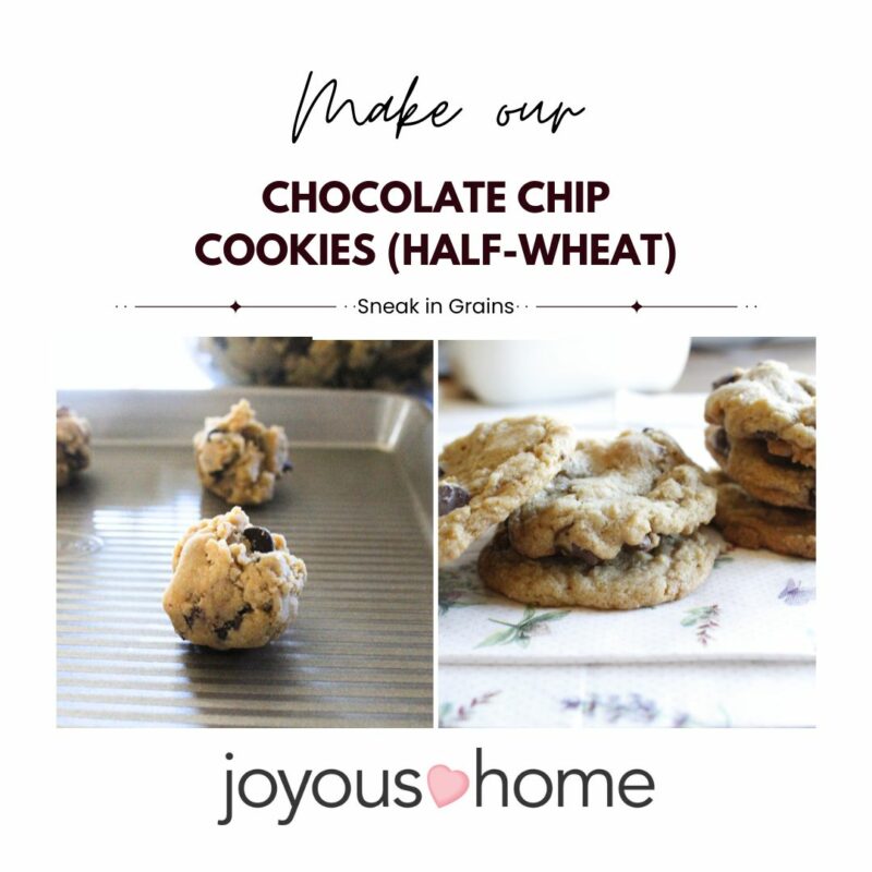 Half Wheat Chocolate Chip Cookie Recipes